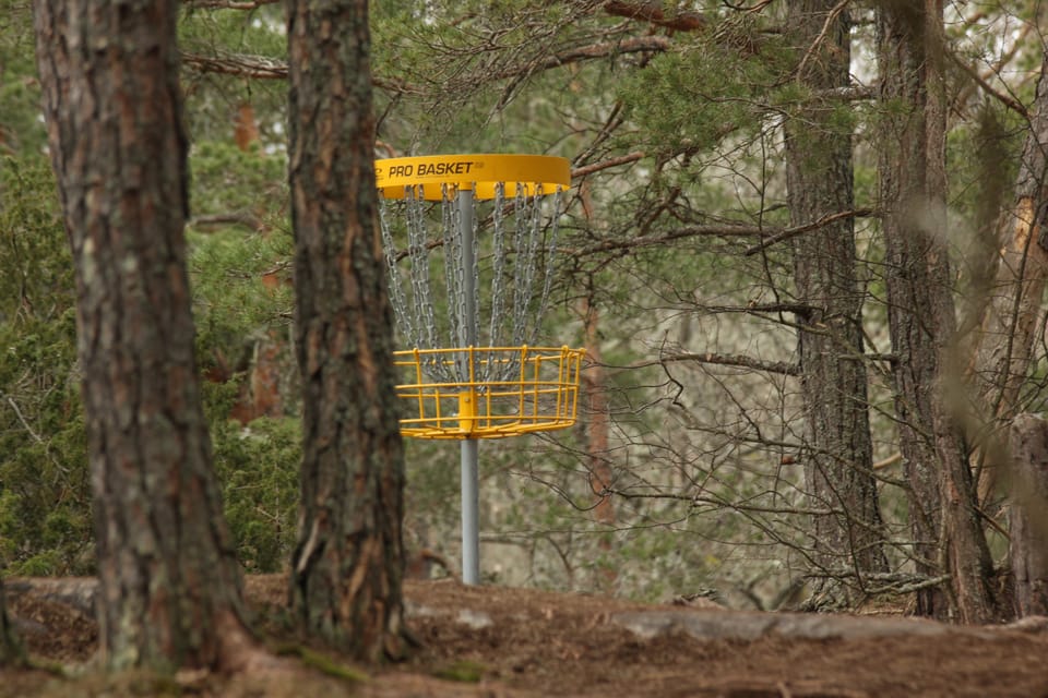 Can Minimalism be Applied to Disc Golf? You bet.